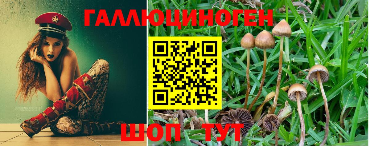 Галлюциногенные грибы Cubensis Сорочинск