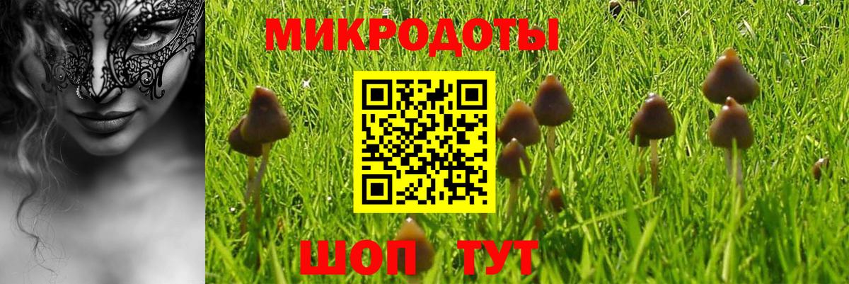 Сорочинск  Галлюциногенные грибы мухоморы  Вход с VPN 